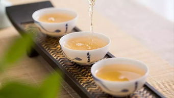 新工艺白茶与传统白茶的区别在哪里？