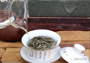白茶与绿茶，各有千秋！