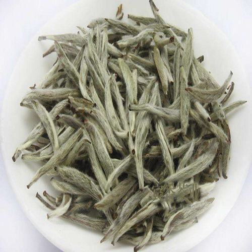 福鼎白茶的茶树种，你知道有几个吗?