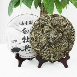 白茶种植技术