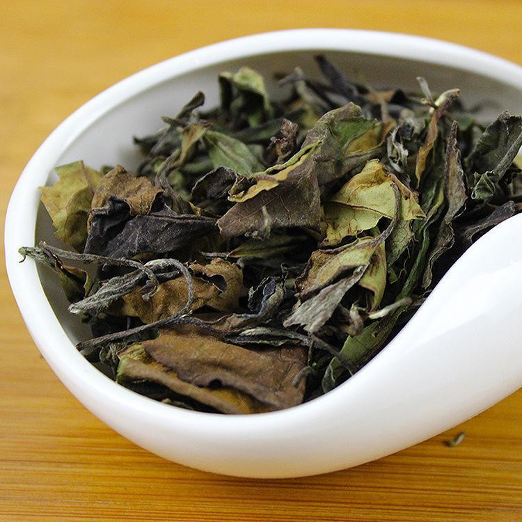 白牡丹参考价格