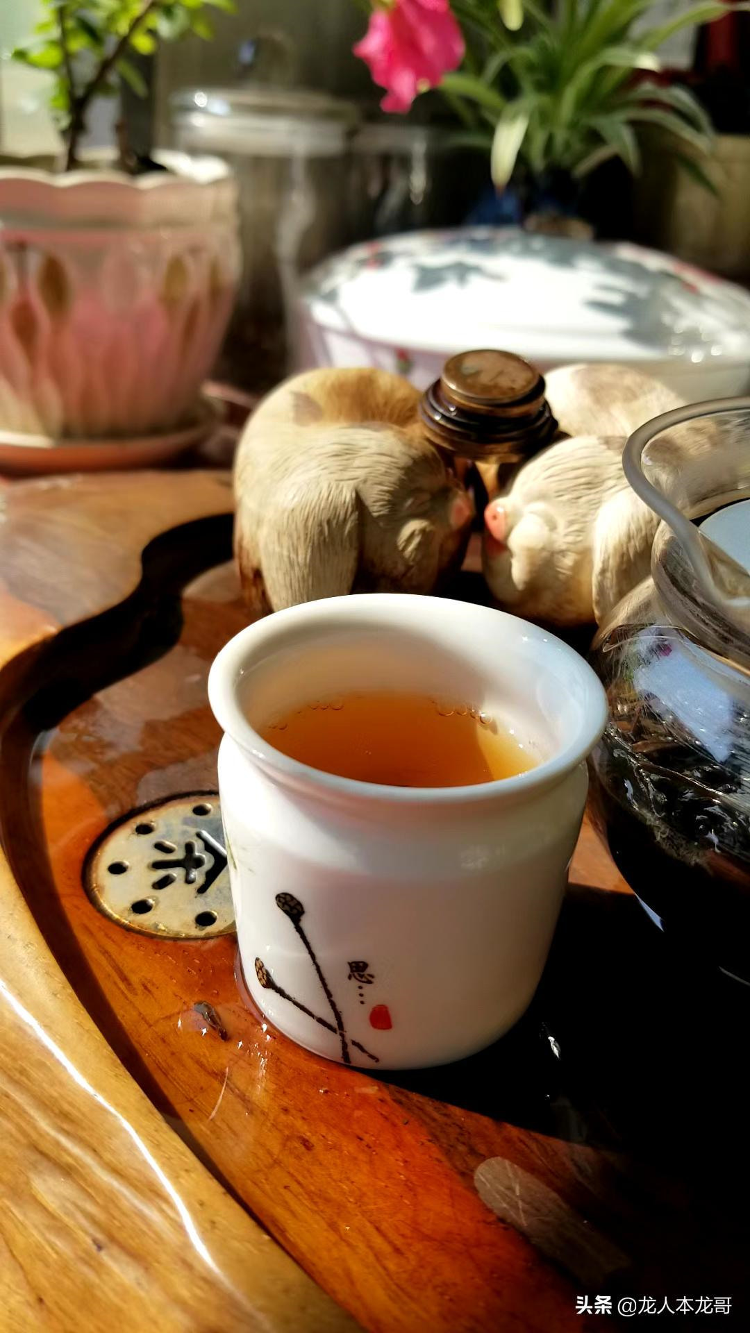 白茶冲泡技巧