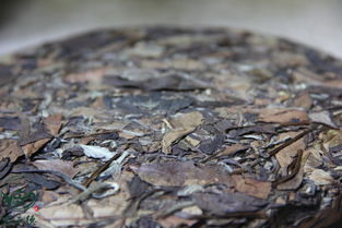 福鼎白茶的种类