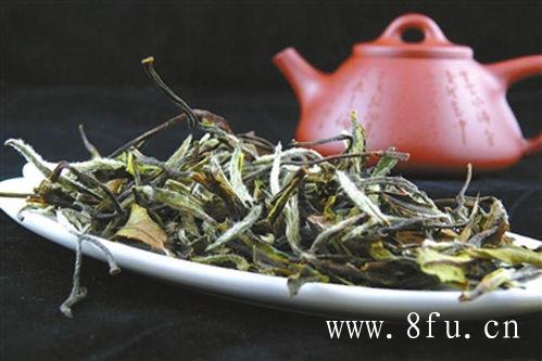 福鼎白茶是绿茶吗？不，它是白茶！