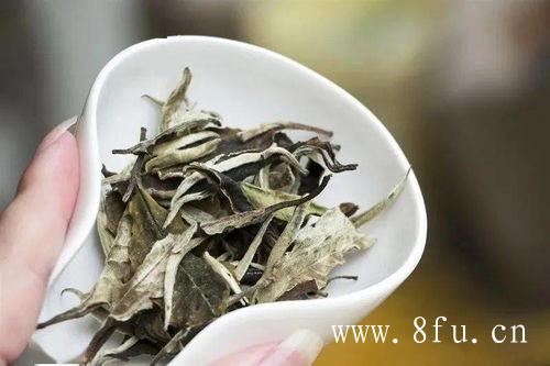 白牡丹茶是属于发酵茶吗?