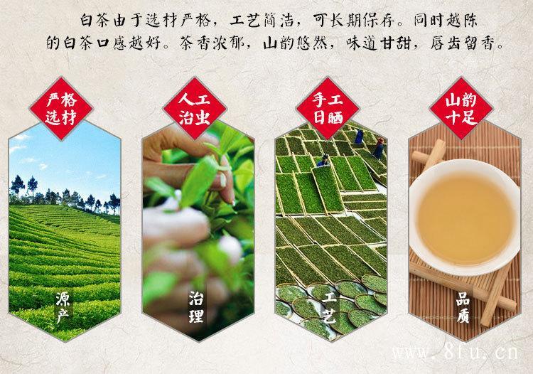 福鼎白茶的价格