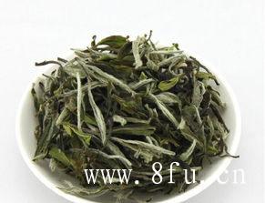 白茶毛尖茶的种类