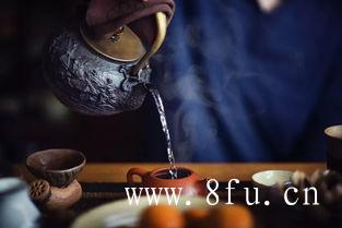 白茶