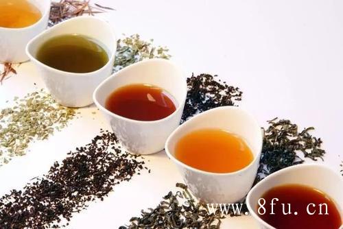白茶属于发酵茶