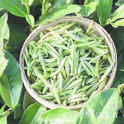 白毫银针适合压成茶饼吗？