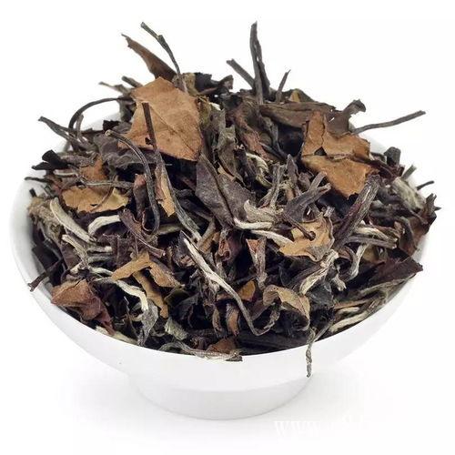资溪白茶怎么样？有什么特点