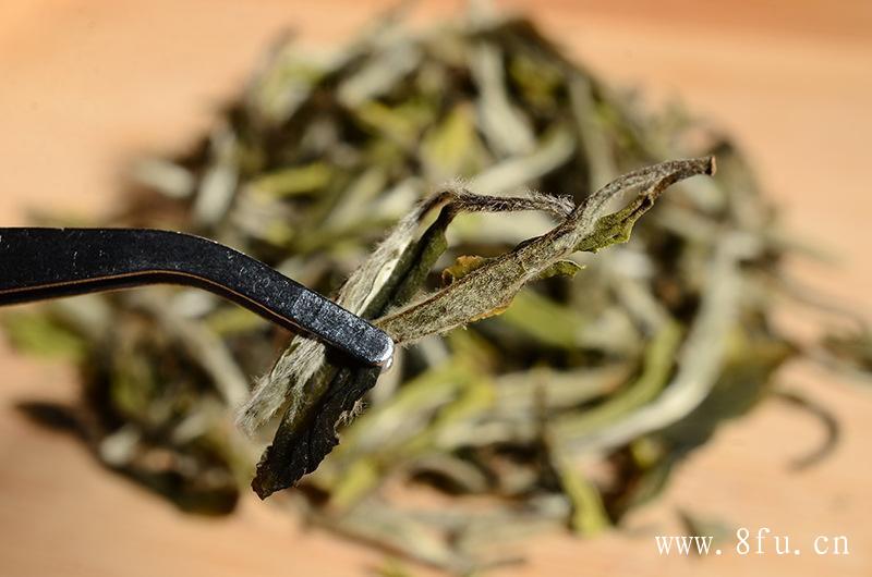 寿眉白茶的制作工艺，纯天然的口感！