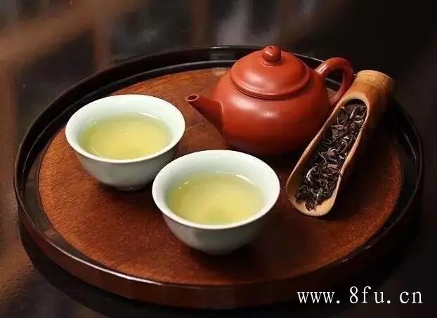 让我们来了解一下福鼎白茶的种植技术吧！