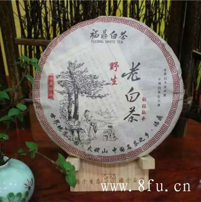 白茶采摘技术