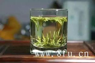 福鼎白茶茶饼收藏，我应该要怎么做？