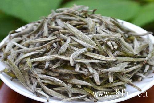 白茶白芽茶是什么茶？