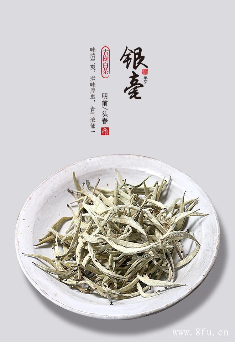 白茶喝茶