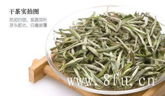 绿茶和白茶的10大区别