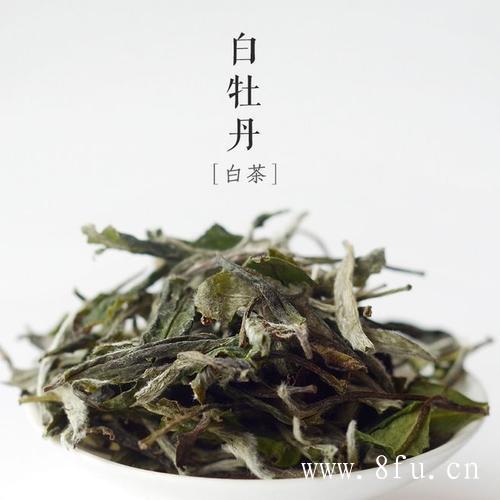 白茶被誉为茶的活化石！