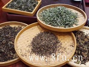 福建白茶包含众多品种，有你想要的吗？
