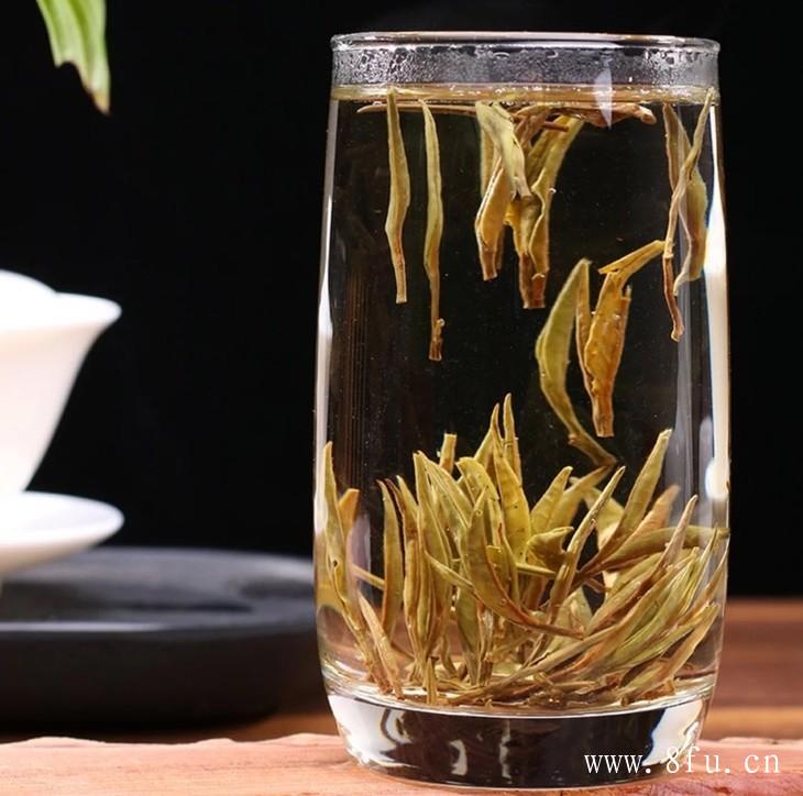 白茶对痛风，有一定的治疗效果吗?