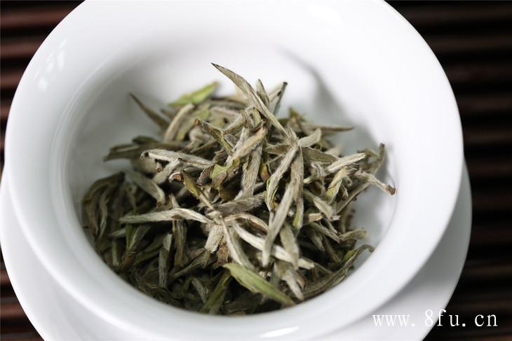 白茶凉性茶