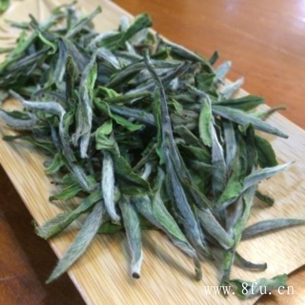 白茶白叶茶介绍