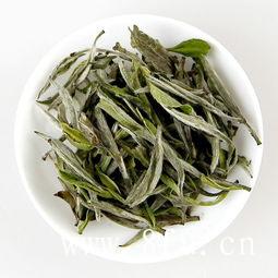 白茶冲泡方法