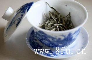 白茶泡茶比例