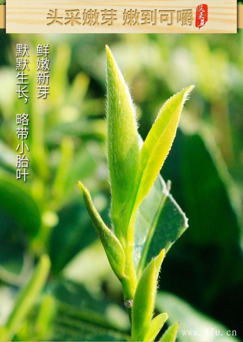 白牡丹茶的等级特征