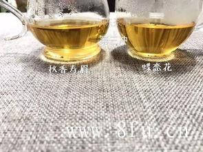 白茶适合做散茶还是做茶饼？