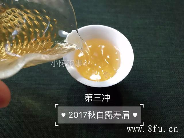 白茶什么人不能喝