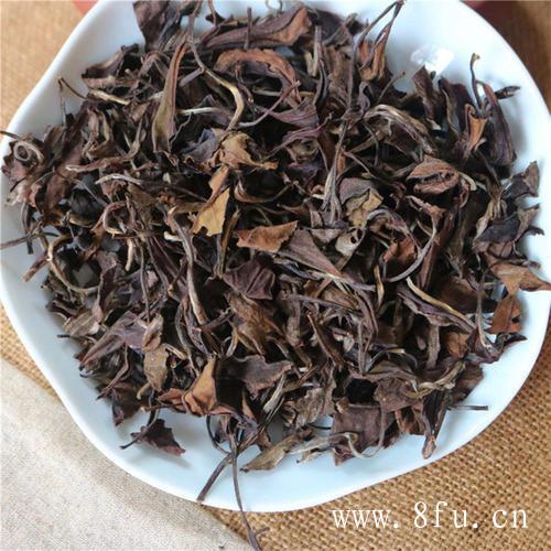 中国白茶起源地为什么在是福鼎？