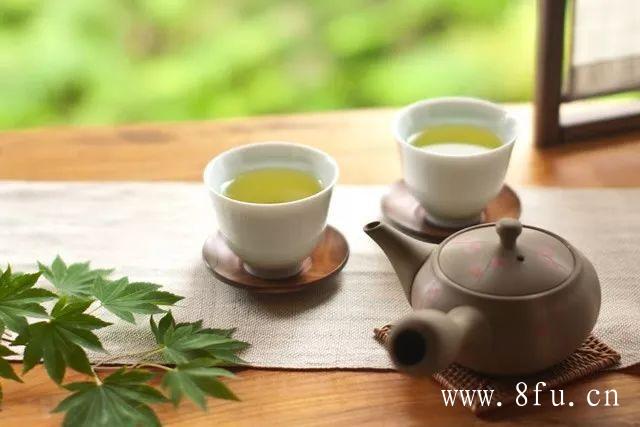 白毫银针适合哪些人喝？