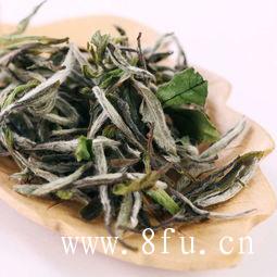 白茶冲泡步骤