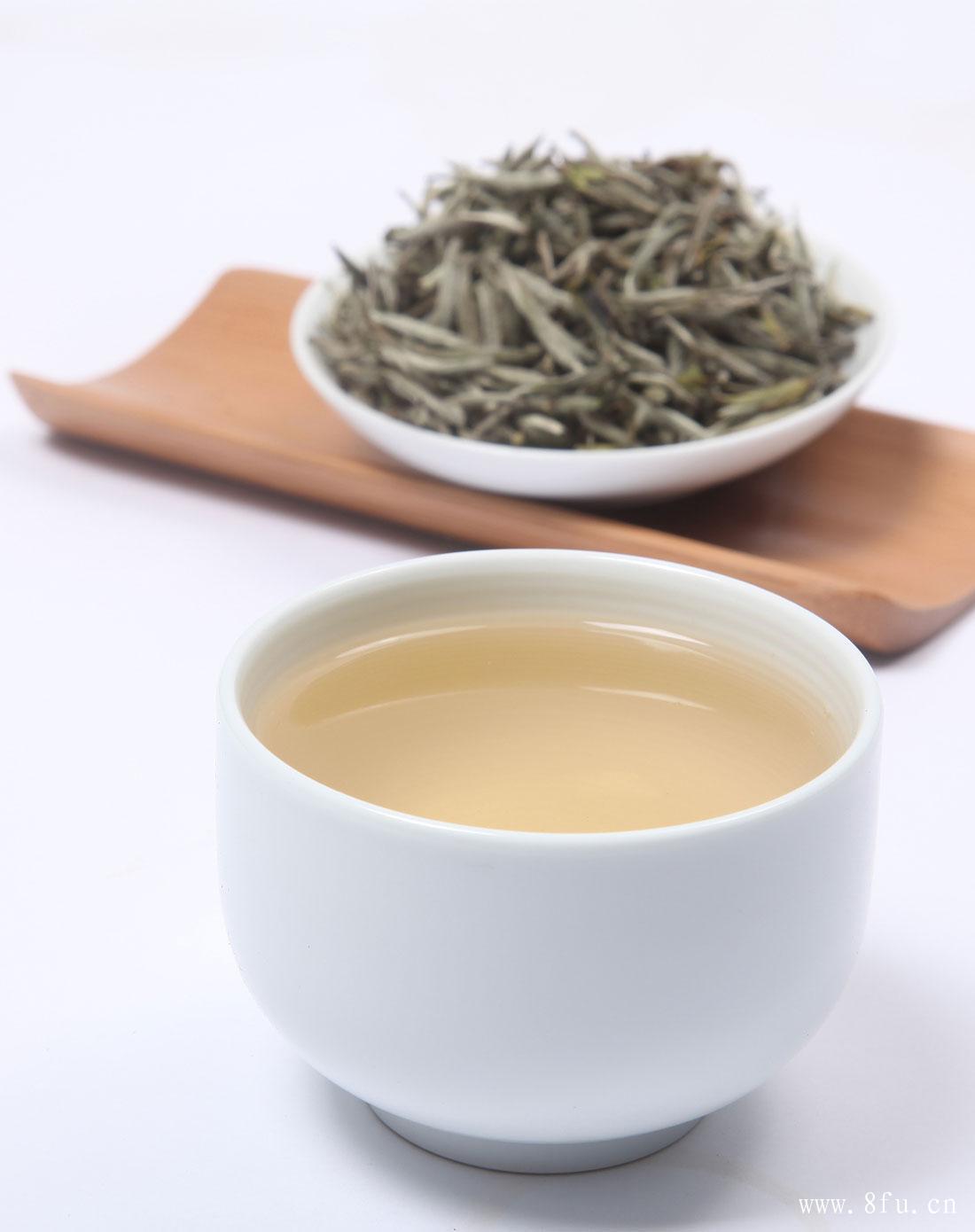 白茶冲泡次数