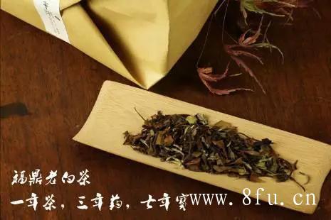 煮白茶需要注意哪些事项
