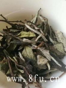 茶友对福鼎白茶树品种都很感兴趣！