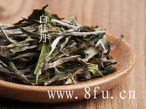 白茶毛尖绿茶