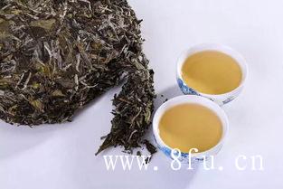  白茶和乌龙茶，它们有“什么样的关系”呢？