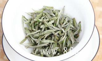 白茶茶只解毒不解药性