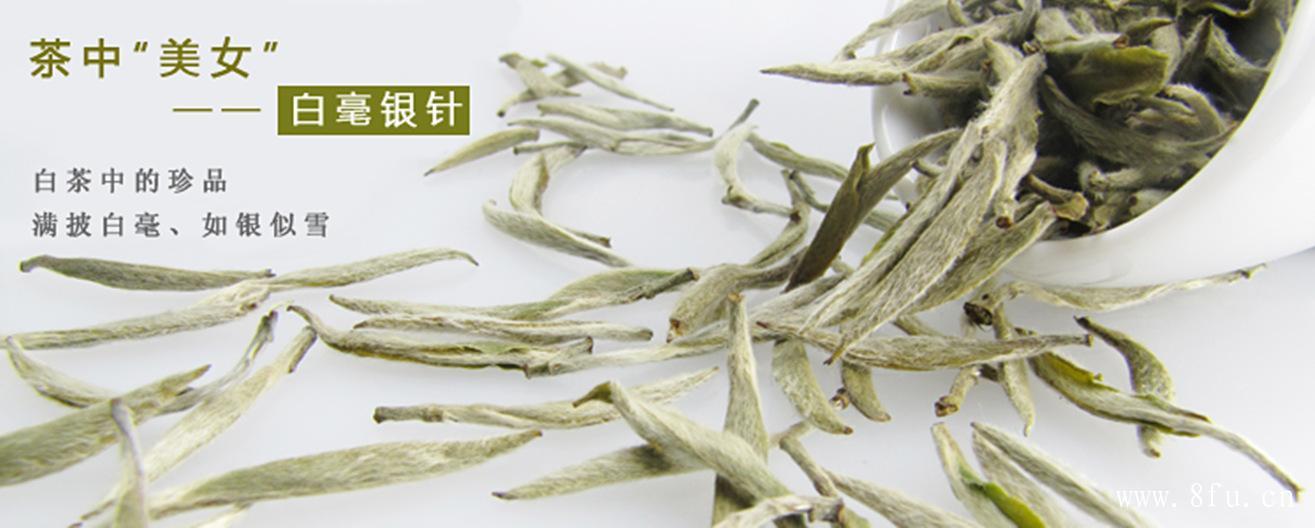 白茶是什么茶