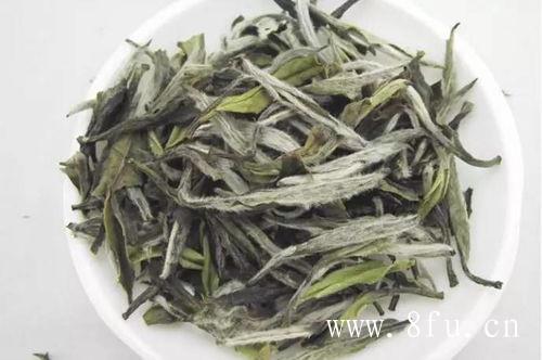  福鼎白茶：不同年份，不同品种的价格