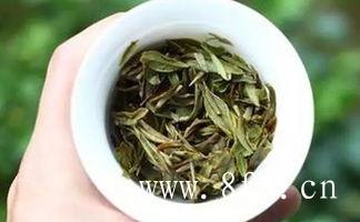 福鼎白茶属微发酵茶