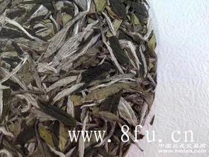 福鼎白茶是属于发酵茶，对吗？