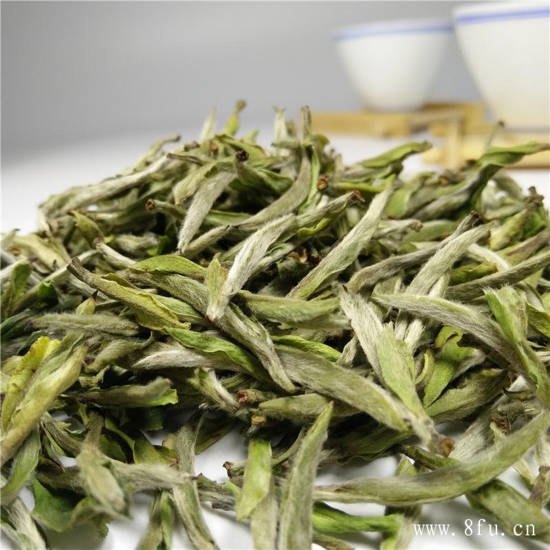 白茶主要品种