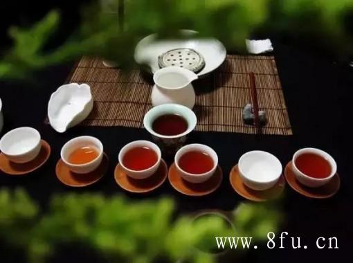 福鼎潘溪村—白茶最优质的“出生地”