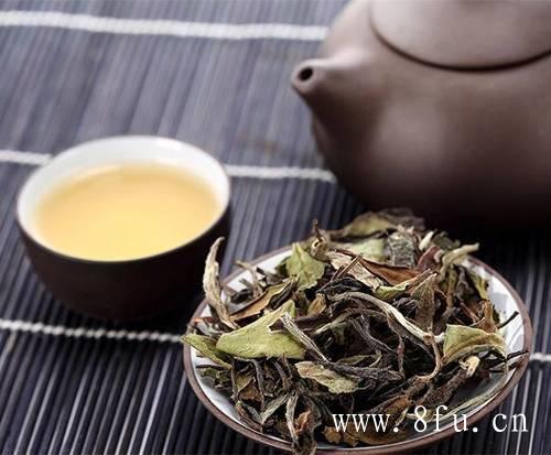 世界白茶在中国，中国白茶在福鼎！