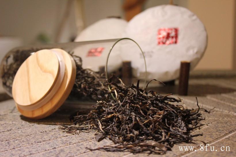 白茶一般泡多久