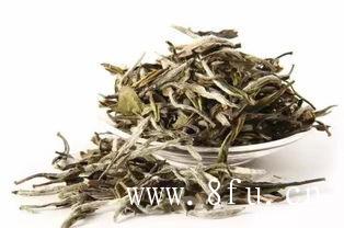 白茶饮用注意事项